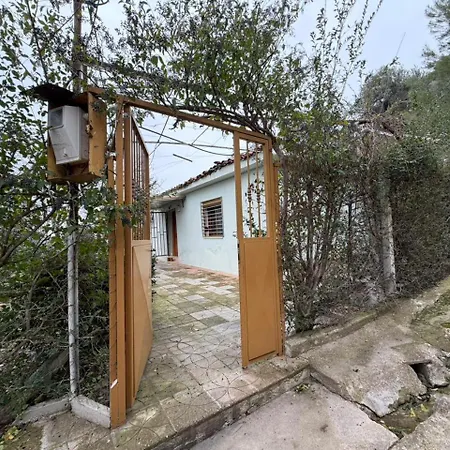 House In The Village 1 *