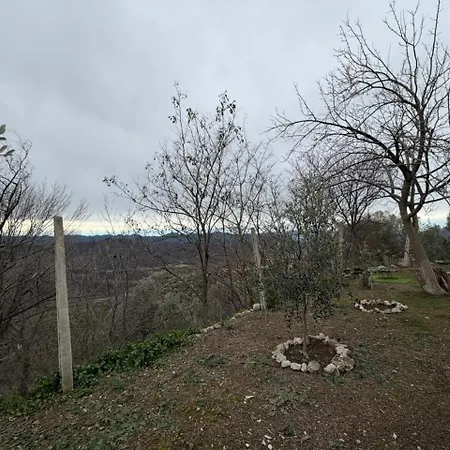 House In The Village 1 *